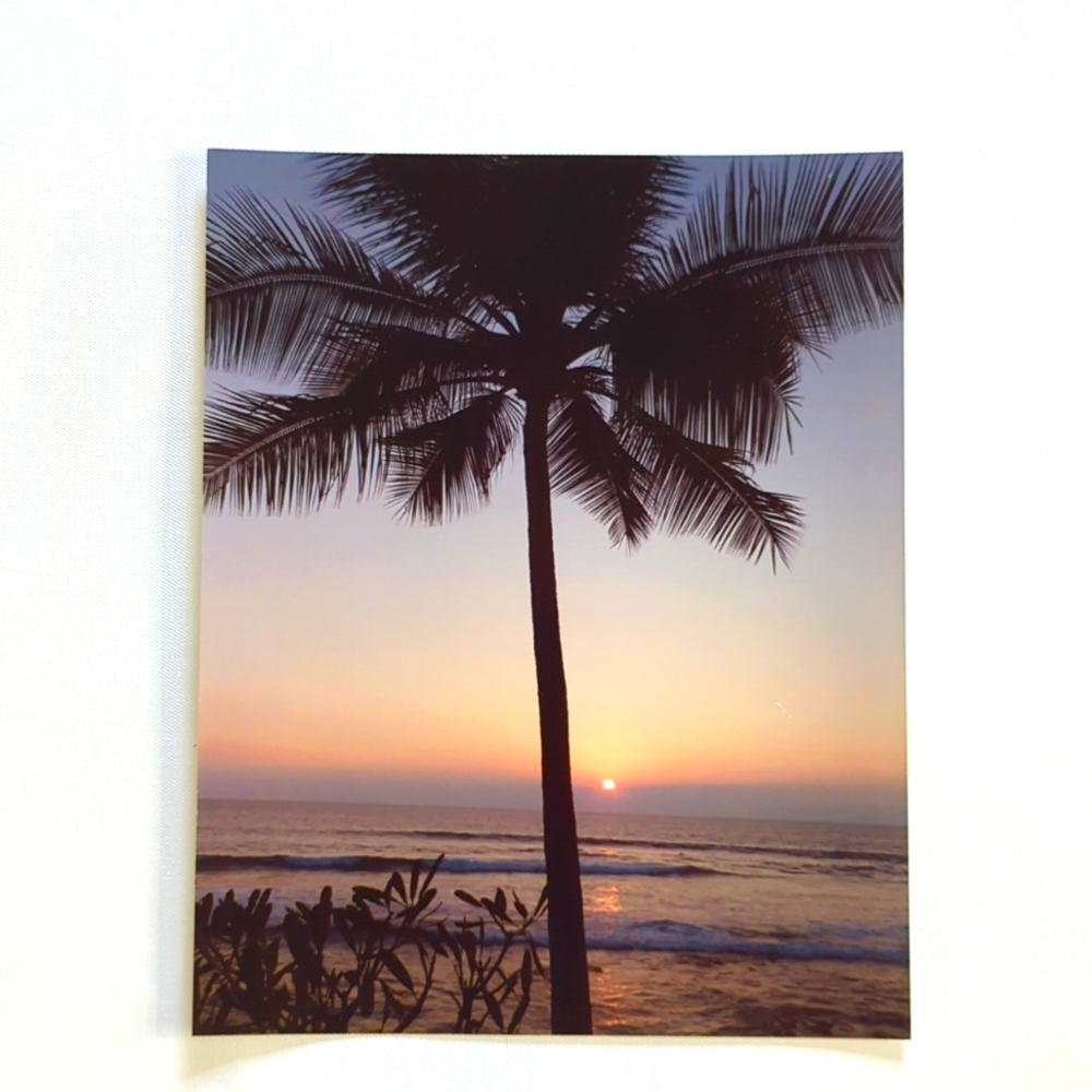 Beautiful Tropical Photo 10x8 Great for Framing